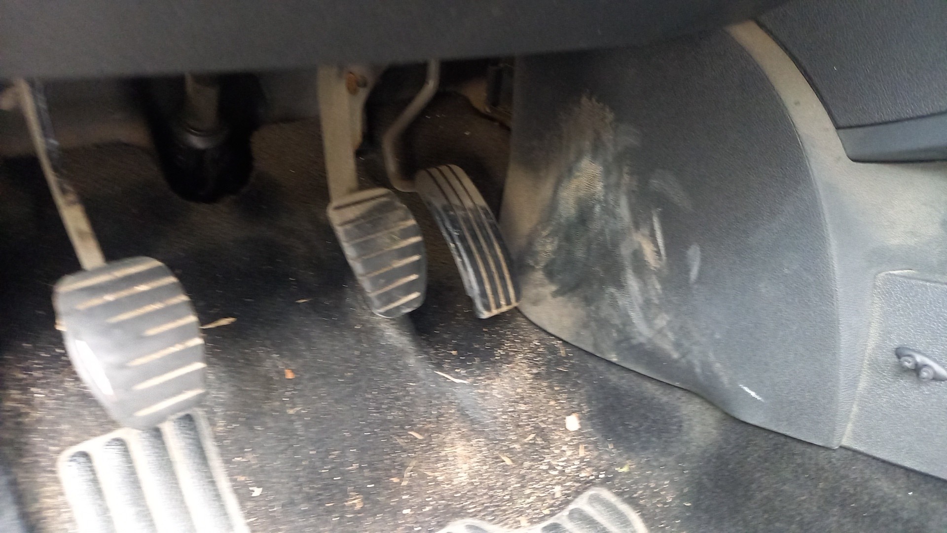 Pedal Acelerador RENAULT CLIO III (BR0/1, CR0/1) | 05 - 