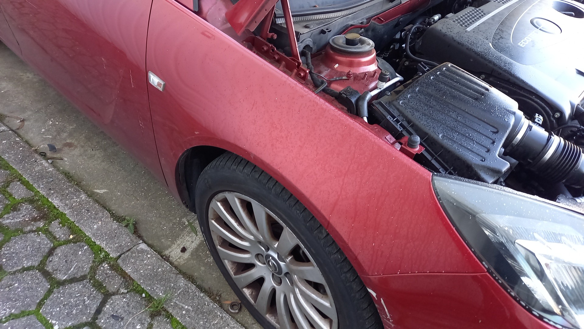 Guarda Lamas Direito OPEL INSIGNIA A (G09) | 08 - 17