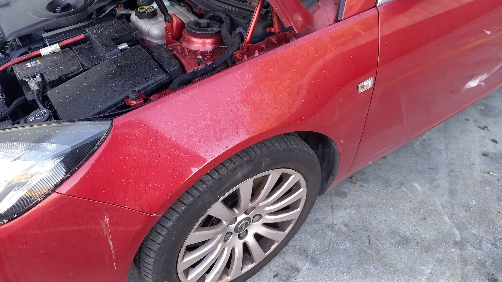 Guarda Lamas Esquerdo OPEL INSIGNIA A (G09) | 08 - 17