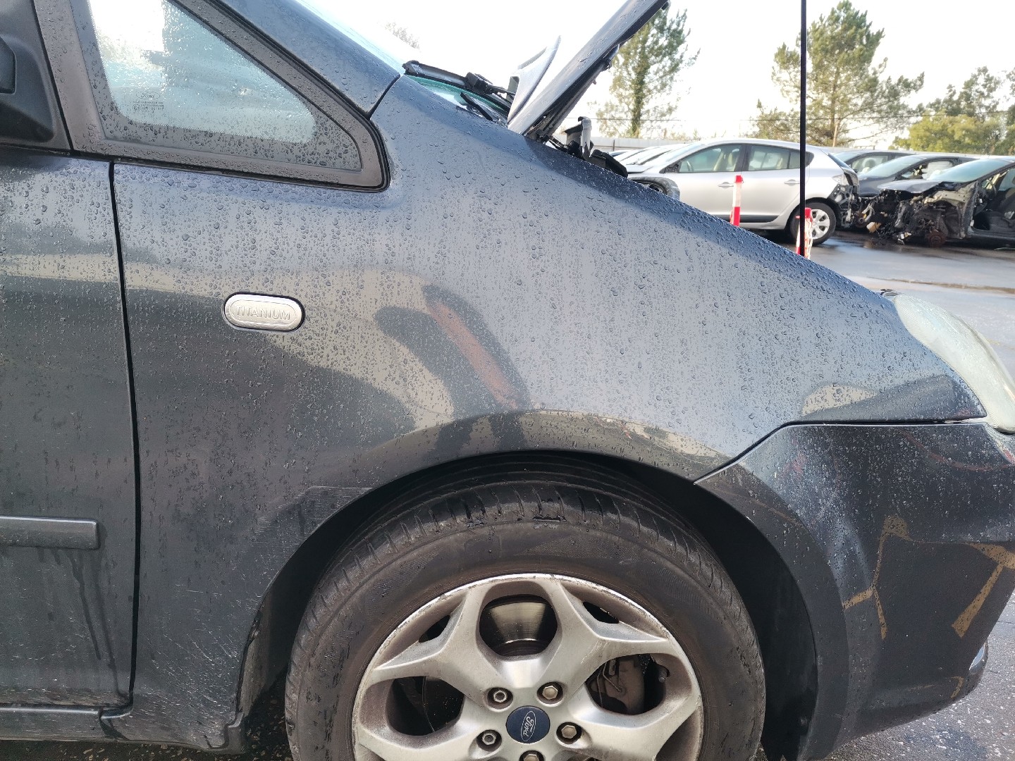 Guarda Lamas Direito FORD C-MAX (DM2) | 07 - 10