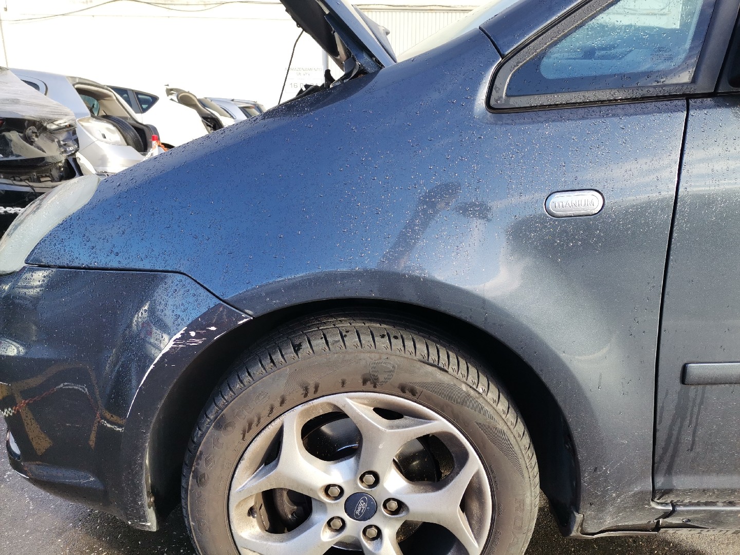 Guarda Lamas Esquerdo FORD C-MAX (DM2) | 07 - 10