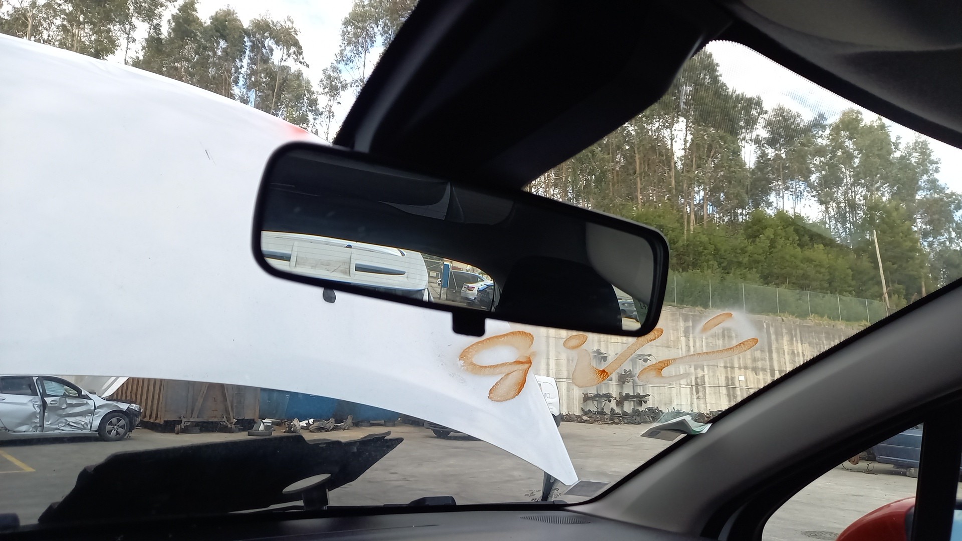 Retrovisor Interior CITROEN C3 III (SX) | 16 - 