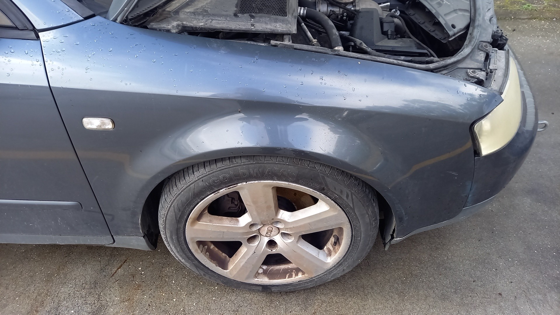 Guarda Lamas Direito AUDI A4 Avant (8E5, B6) | 00 - 05