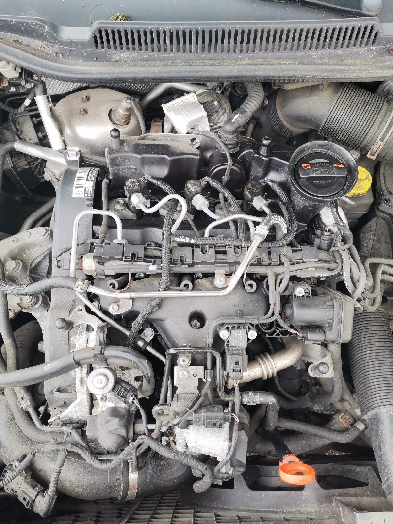 Motor VOLKSWAGEN POLO (6R1, 6C1) | 09 - 