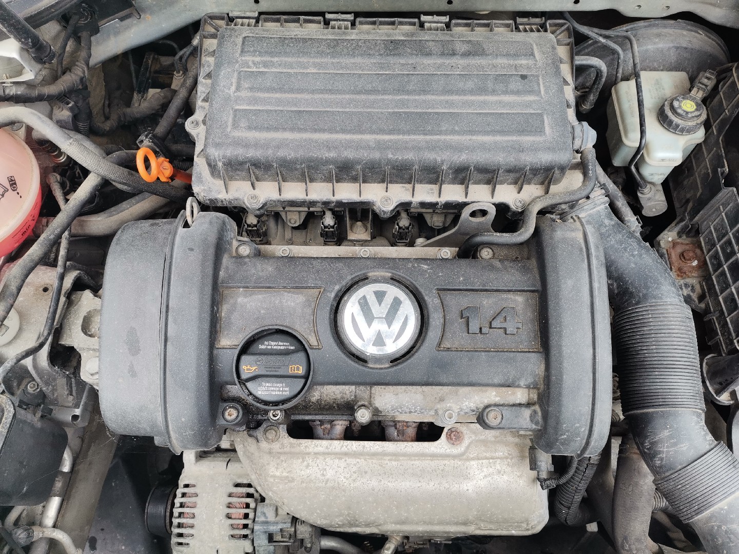 Motor Gasolina VOLKSWAGEN GOLF V (1K1) | 03 - 09