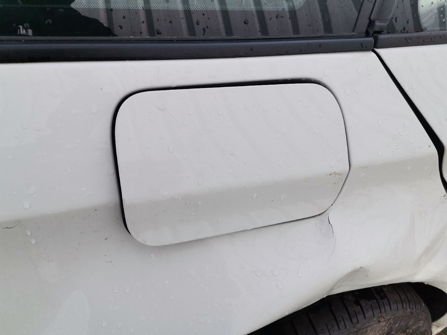 Portinhola / Tampa Combustivel BMW 3 Touring (F31) | 12 - 19