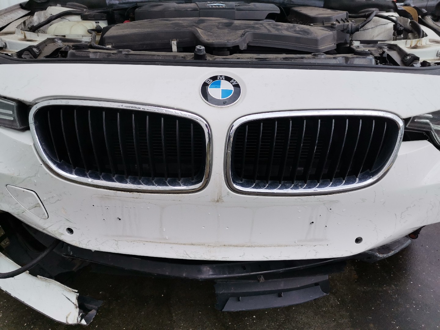 Grelha BMW 3 Touring (F31) | 12 - 19