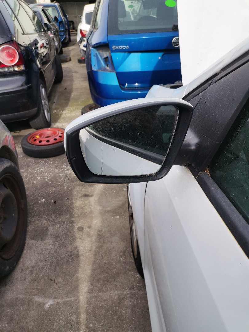 Retrovisor Lado Esquerdo VOLKSWAGEN POLO (6R1, 6C1) | 09 - 