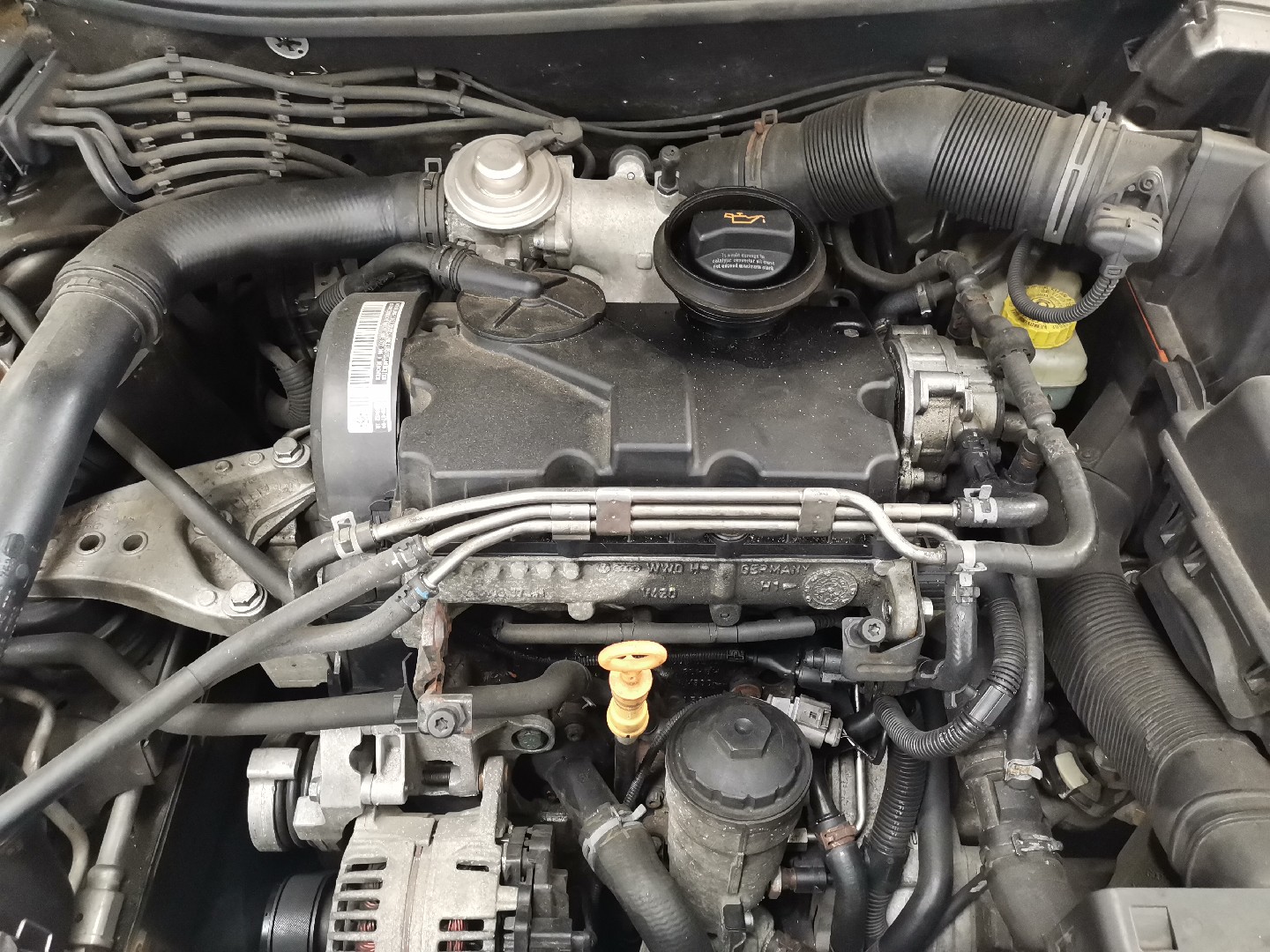 Motor Diesel SEAT IBIZA III (6L1) | 02 - 09