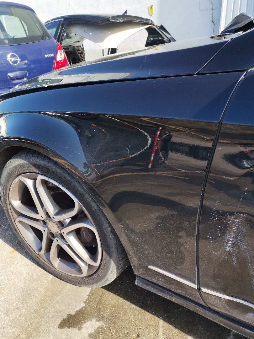 Guarda Lamas Esquerdo MERCEDES-BENZ CLS Shooting Brake (X218) | 12 - 17