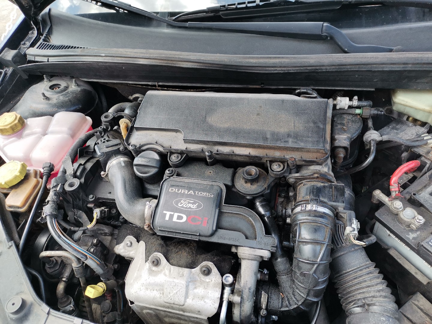 Motor FORD FIESTA V (JH_, JD_) | 01 - 14