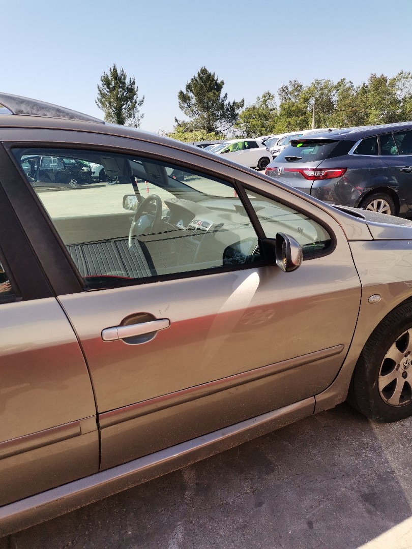 Porta Frente Lado Direito PEUGEOT 307 SW (3H) | 02 - 09