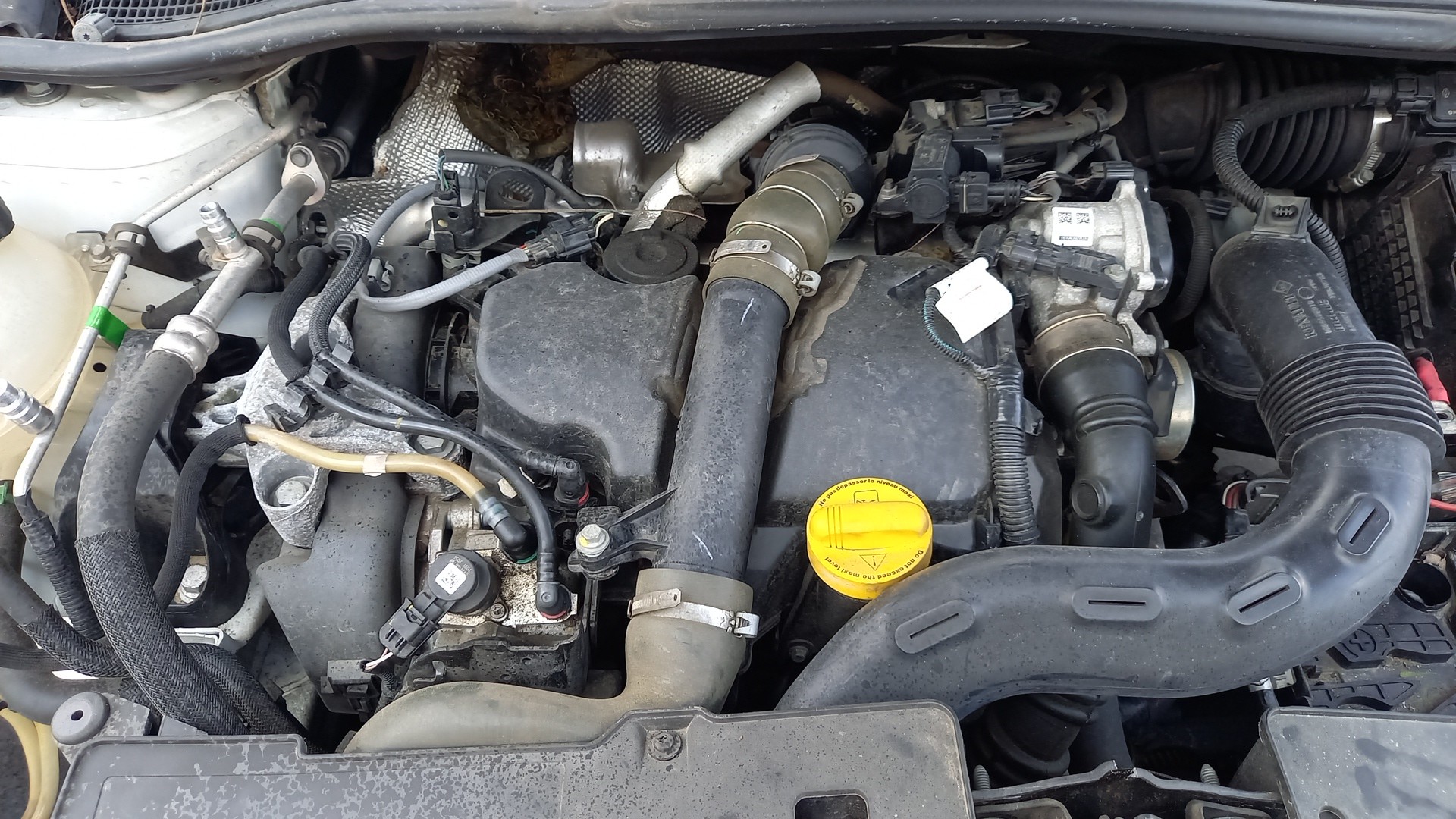Motor Diesel RENAULT CLIO IV (BH_) | 12 - 