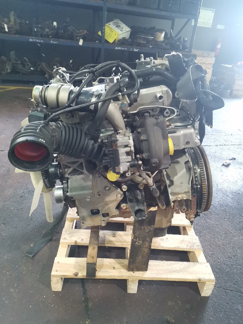 Motor Diesel NISSAN NP300 NAVARA (D40) | 04 - 