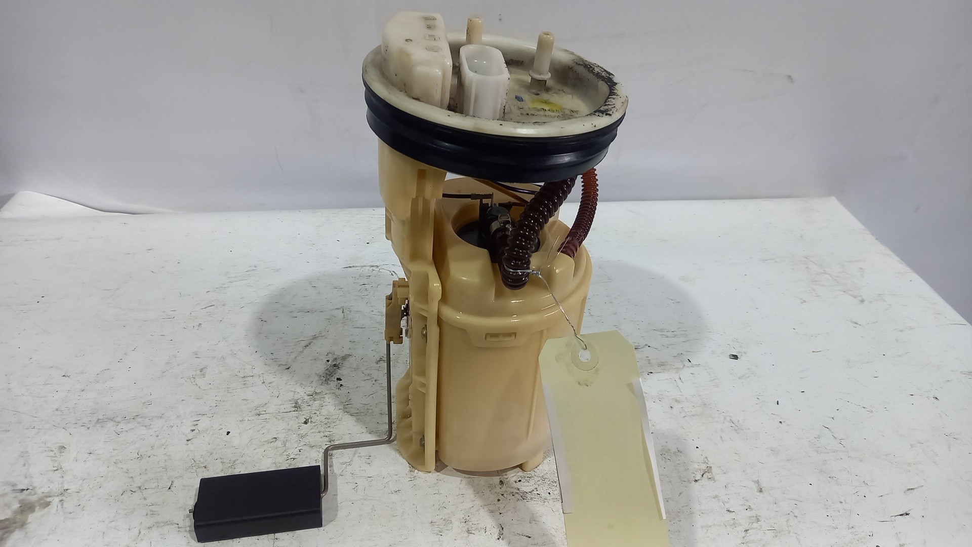 Boía / Bomba Depósito de Combustível VOLKSWAGEN GOLF IV Variant (1J5) | 99 - 06