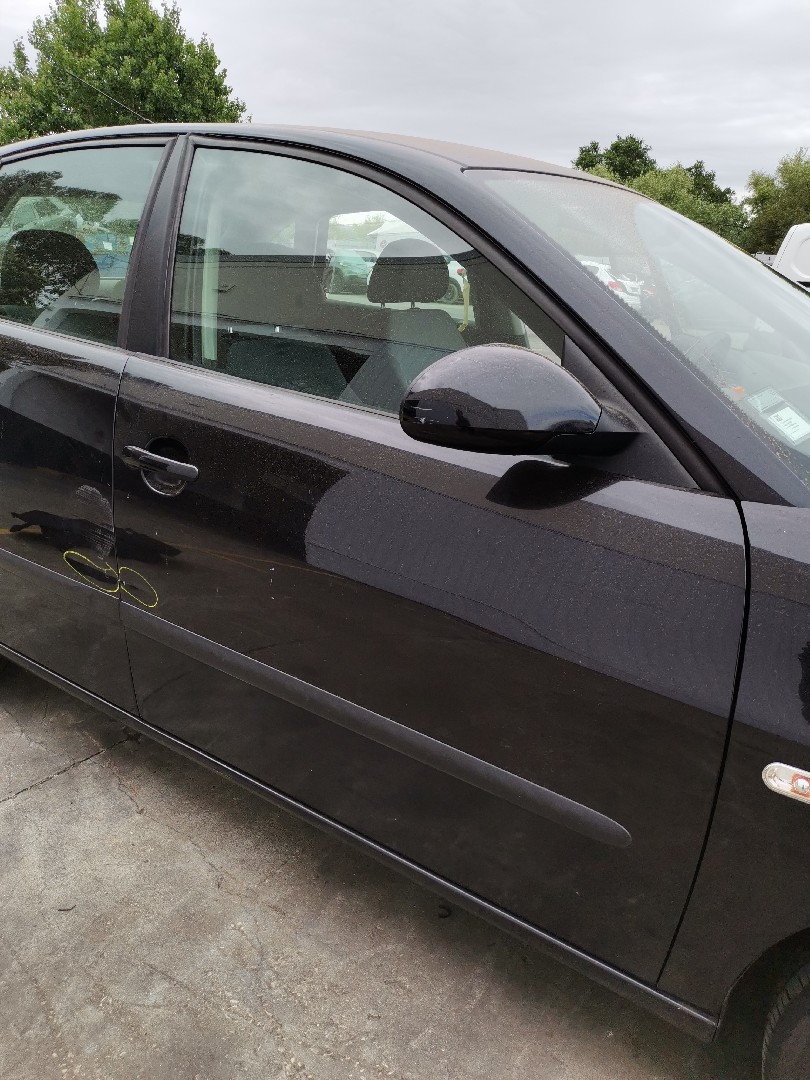 Porta Frente Lado Direito SEAT IBIZA III (6L1) | 02 - 09