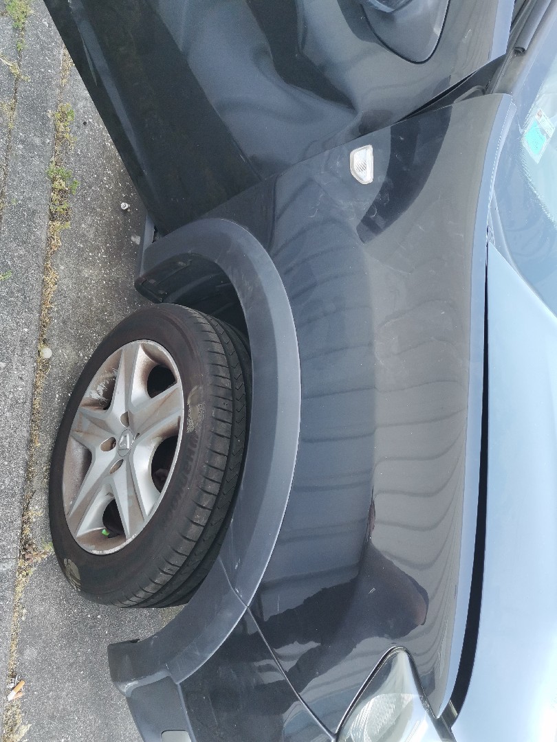 Guarda Lamas Direito DACIA SANDERO II | 12 - 