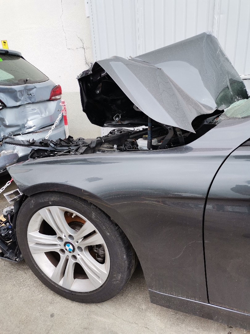 Guarda Lamas Esquerdo BMW 3 Touring (F31) | 12 - 19