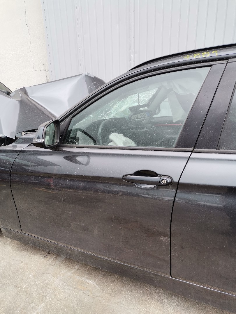 Porta Frente Lado Esquerdo BMW 3 Touring (F31) | 12 - 19