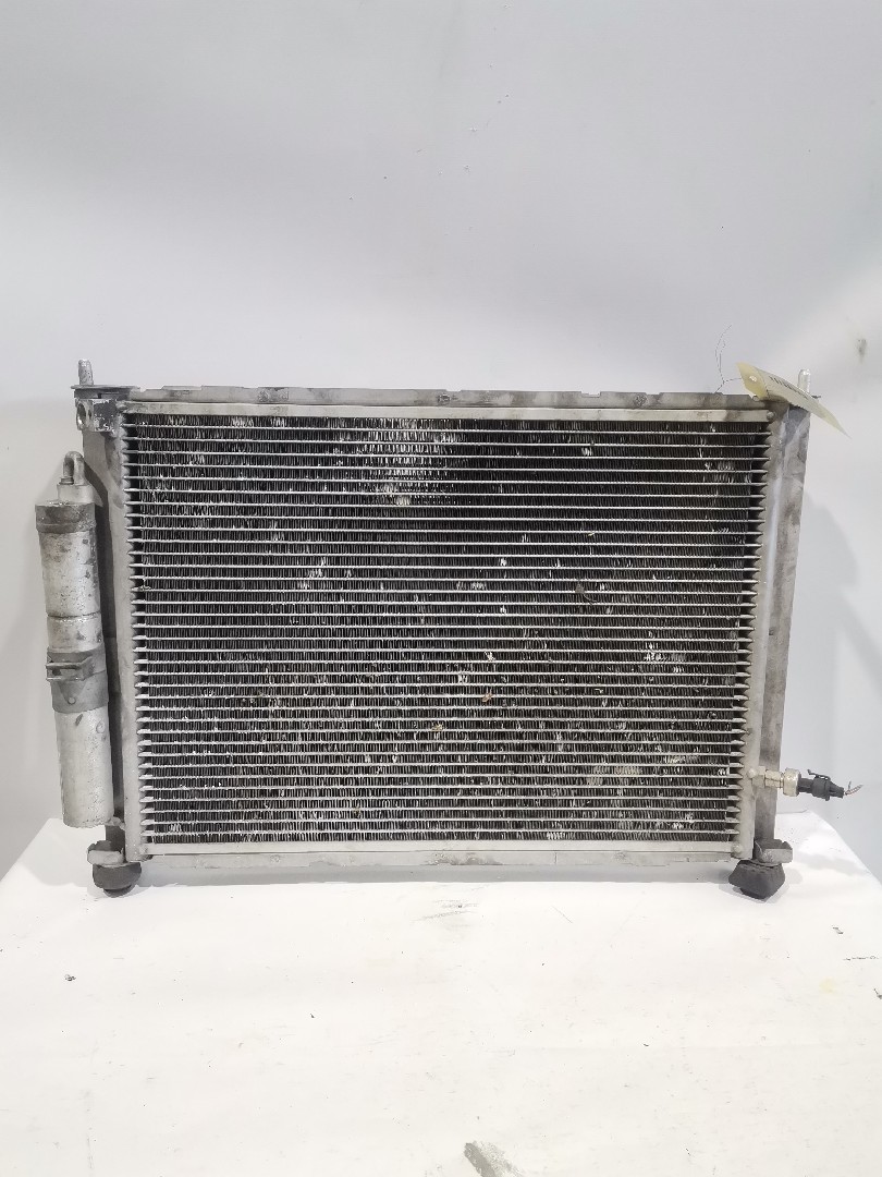 Radiador Água RENAULT CLIO III (BR0/1, CR0/1) | 05 -  Imagem-1