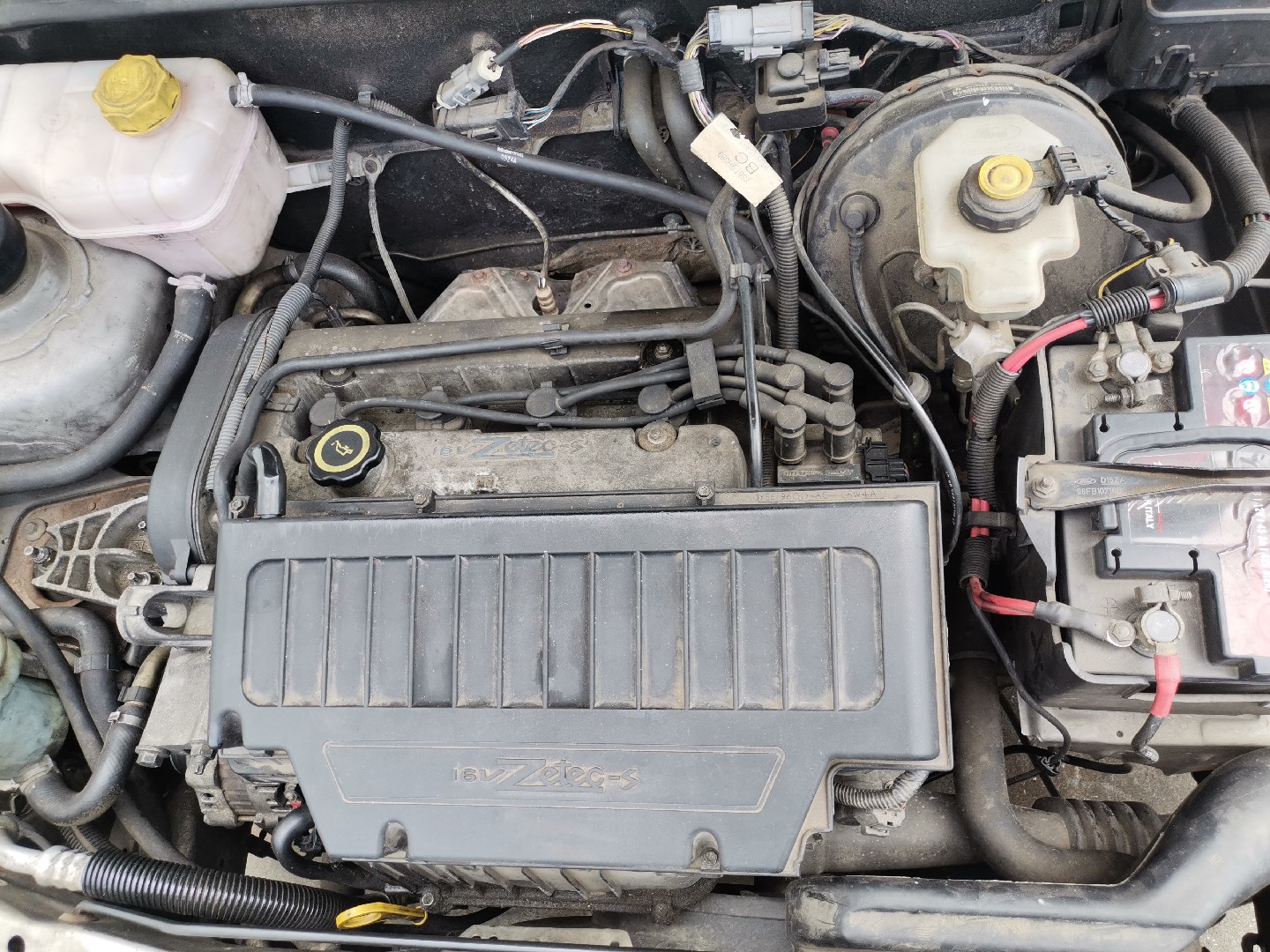 Motor Gasolina FORD FIESTA IV (JA_, JB_) | 95 - 02