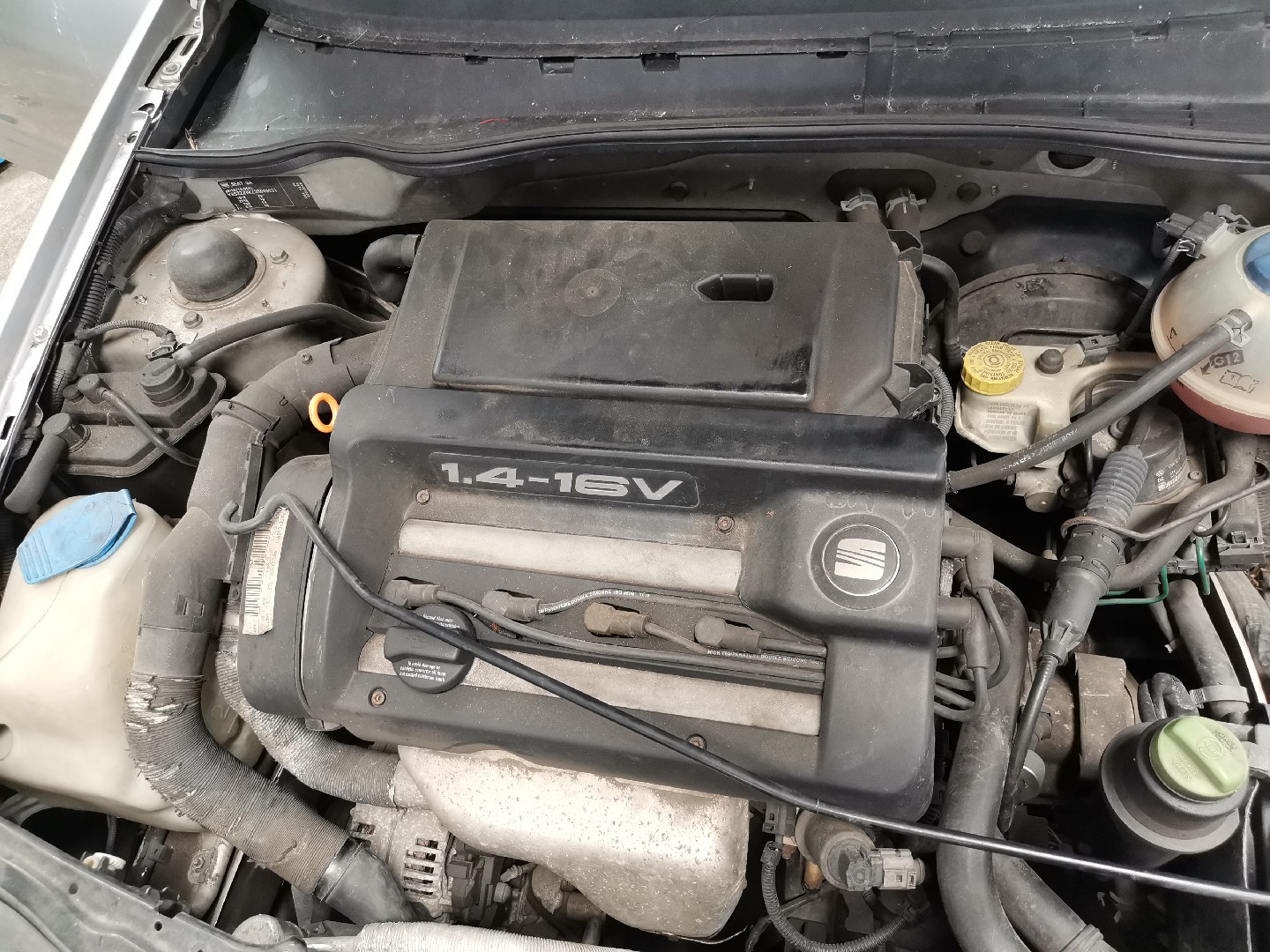 Motor Gasolina SEAT CORDOBA Vario (6K5) | 99 - 02