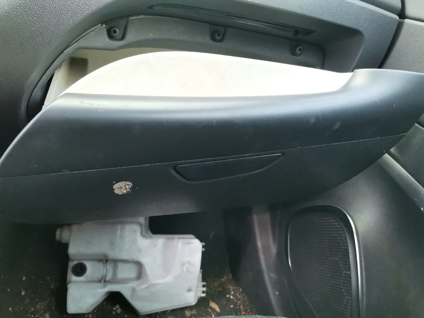 Porta-Luvas RENAULT CAPTUR I (J5_, H5_) | 13 - 