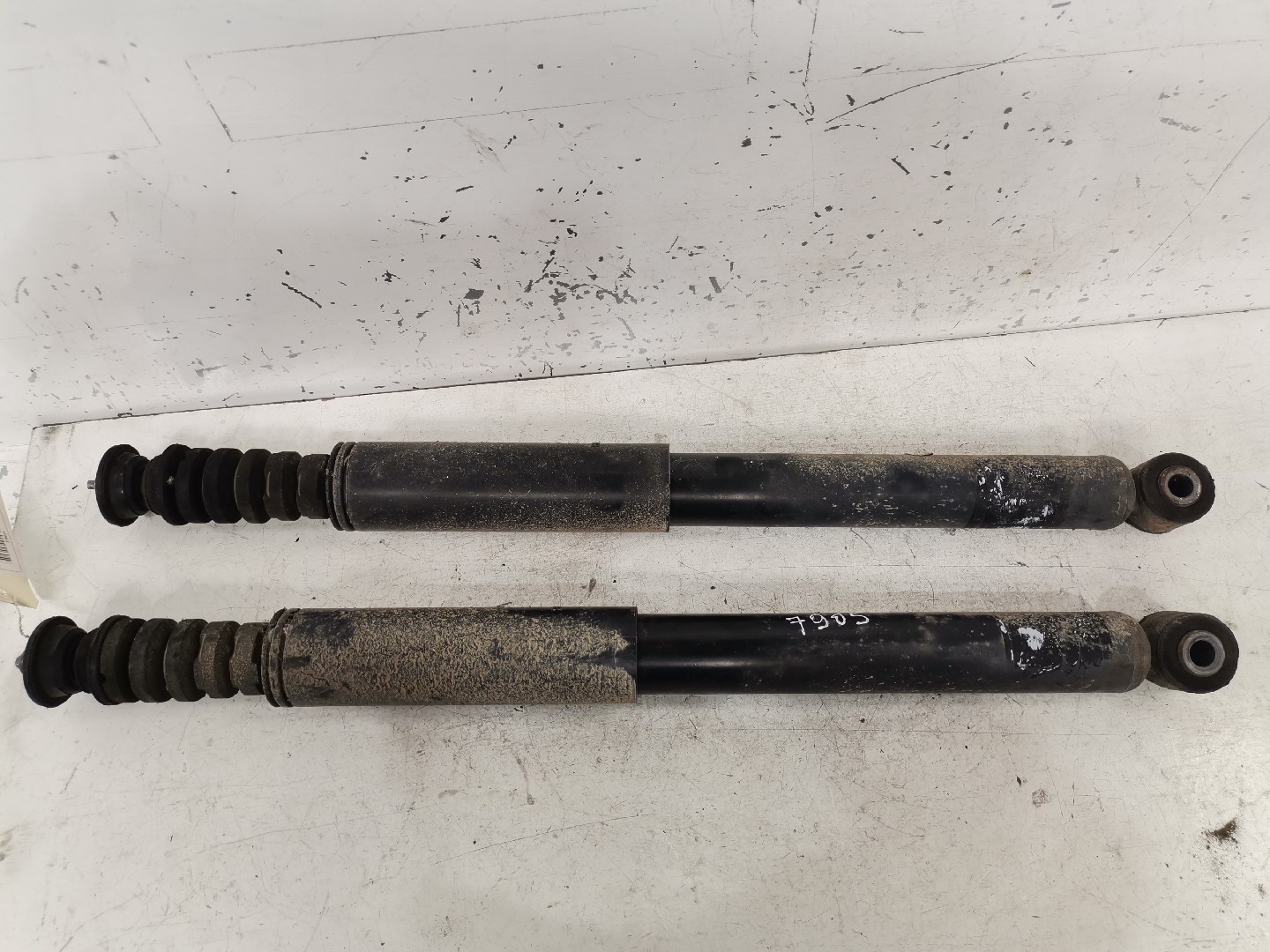 Amortecedores Conjunto Trás RENAULT CLIO III (BR0/1, CR0/1) | 05 -  Imagem-1