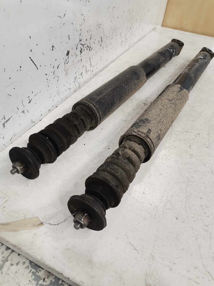 Amortecedores Conjunto Trás RENAULT CLIO III (BR0/1, CR0/1) | 05 -  Imagem-2