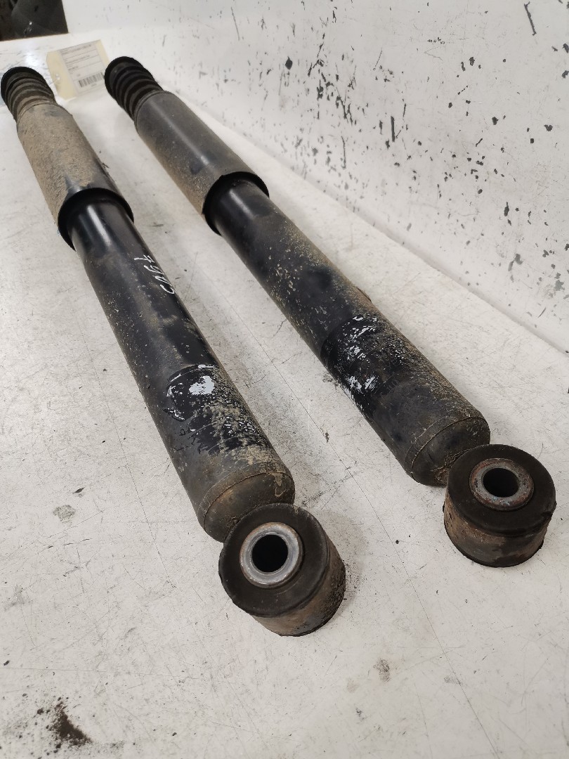 Amortecedores Conjunto Trás RENAULT CLIO III (BR0/1, CR0/1) | 05 -  Imagem-3