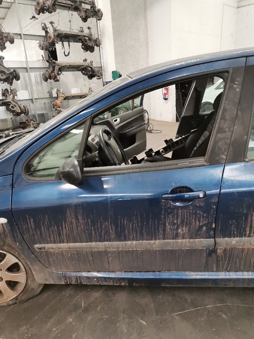 Porta Frente Lado Esquerdo PEUGEOT 307 (3A/C) | 00 - 12