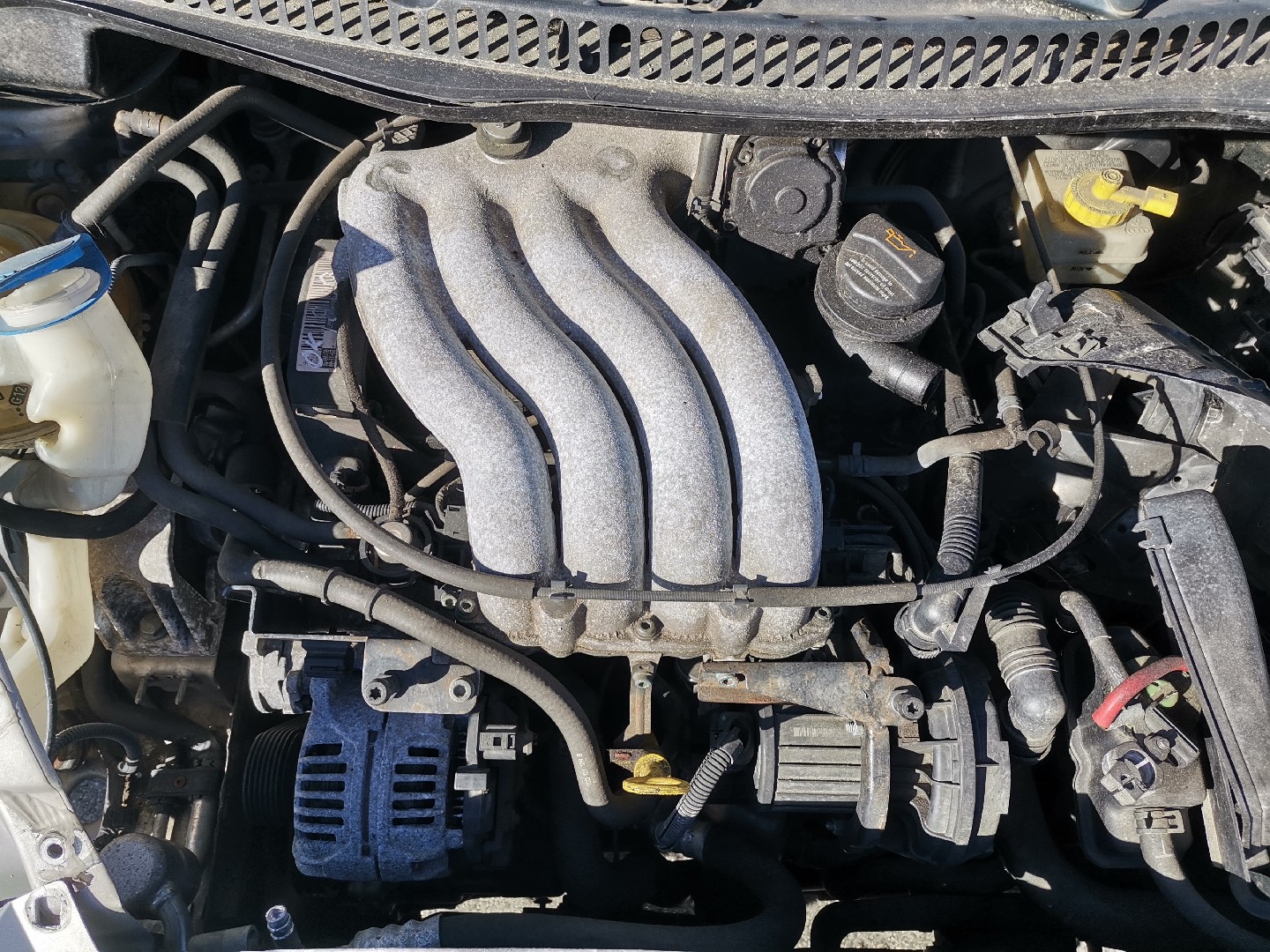 Motor Gasolina VOLKSWAGEN NEW BEETLE (9C1, 1C1) | 98 - 10