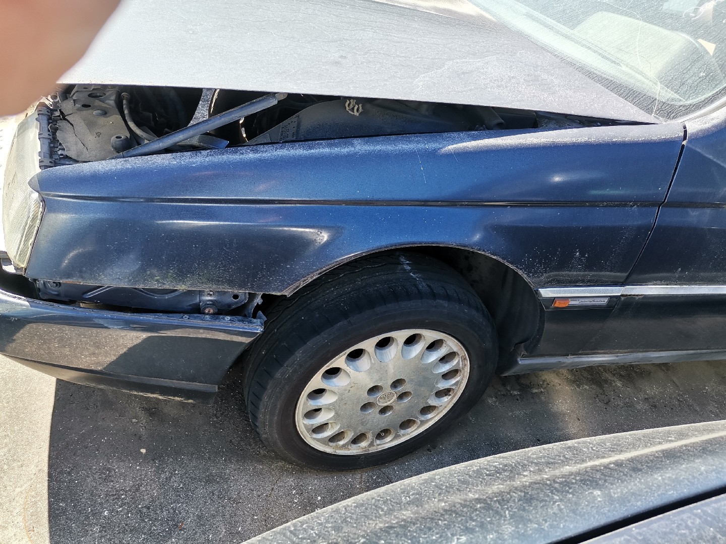 Guarda Lamas Esquerdo ALFA ROMEO 164 (164_) | 87 - 98 Imagem-0