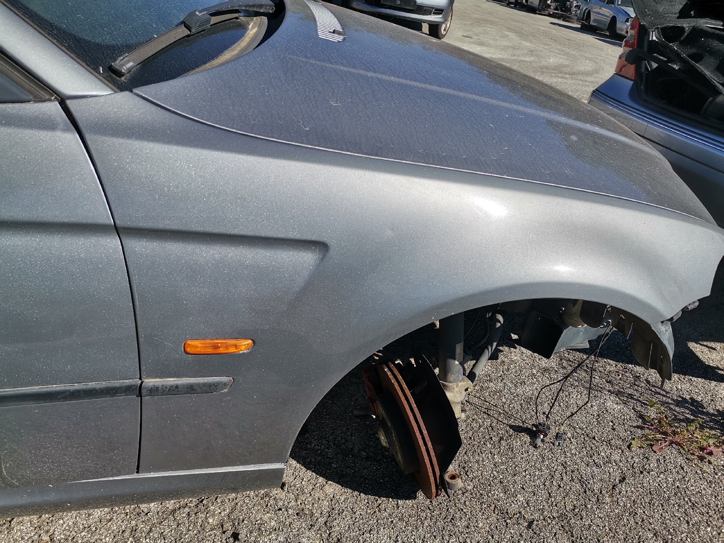 Guarda Lamas Direito BMW 3 Compact (E46) | 01 - 05