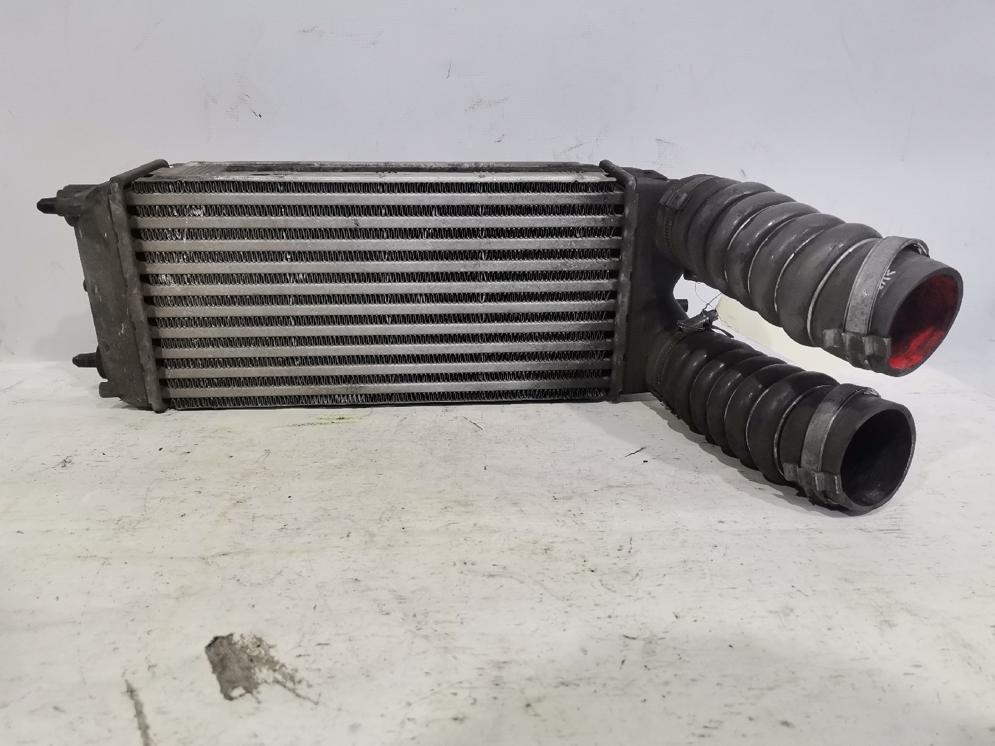 Radiador Intercooler FORD FIESTA VI (CB1, CCN) | 08 - 