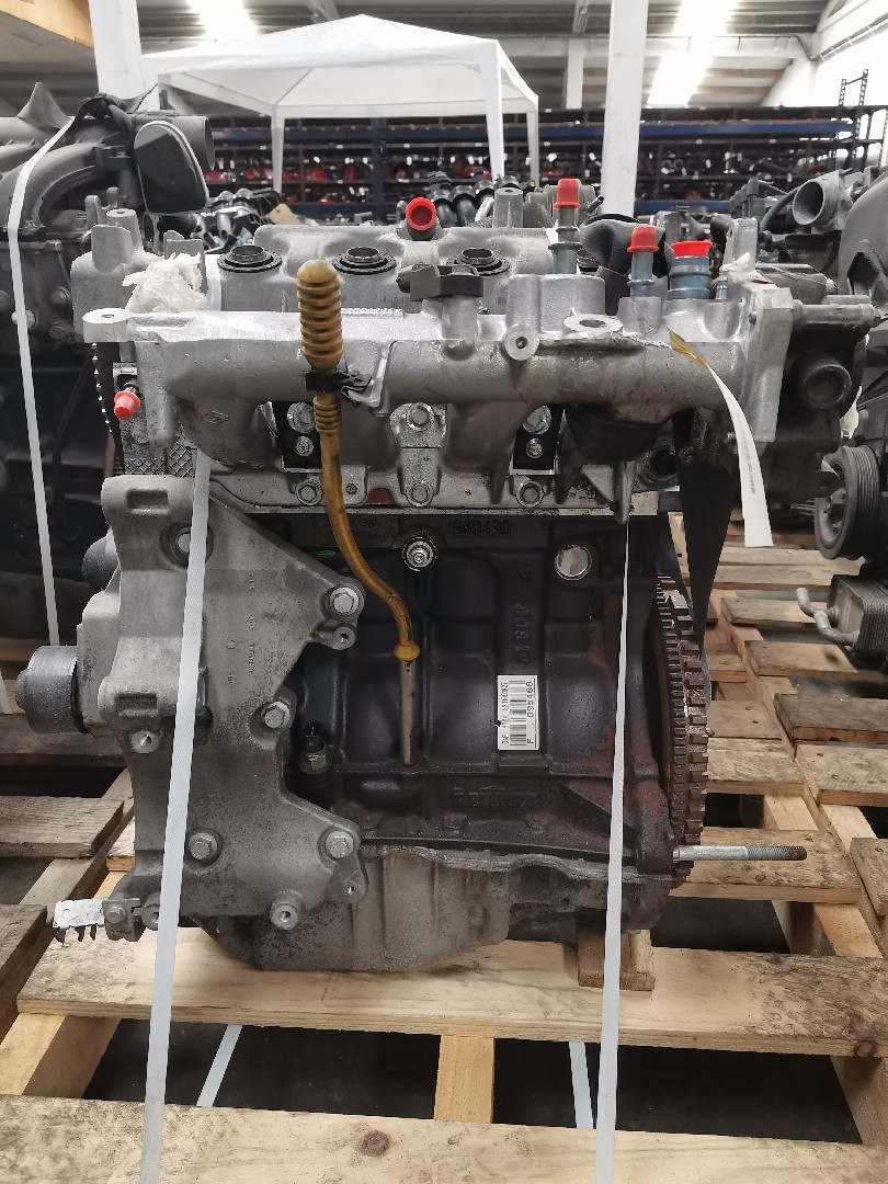 Motor Gasolina RENAULT CLIO III (BR0/1, CR0/1) | 05 - 