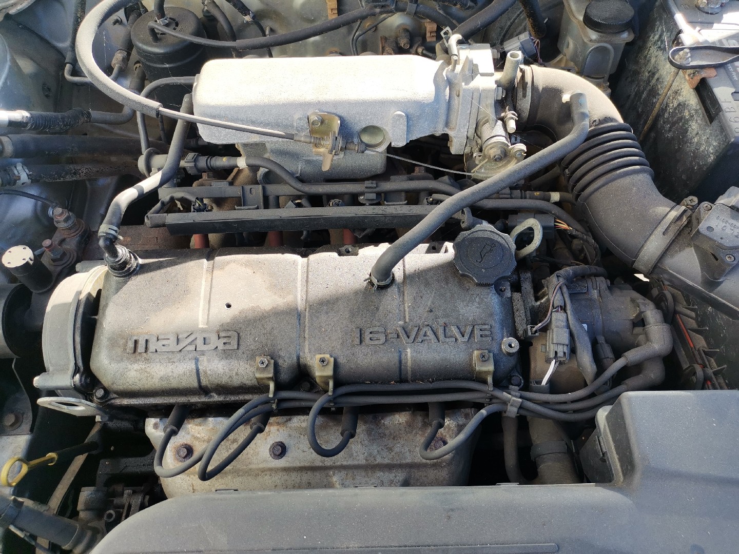 Motor Gasolina MAZDA 323 S VI (BJ) | 98 - 04