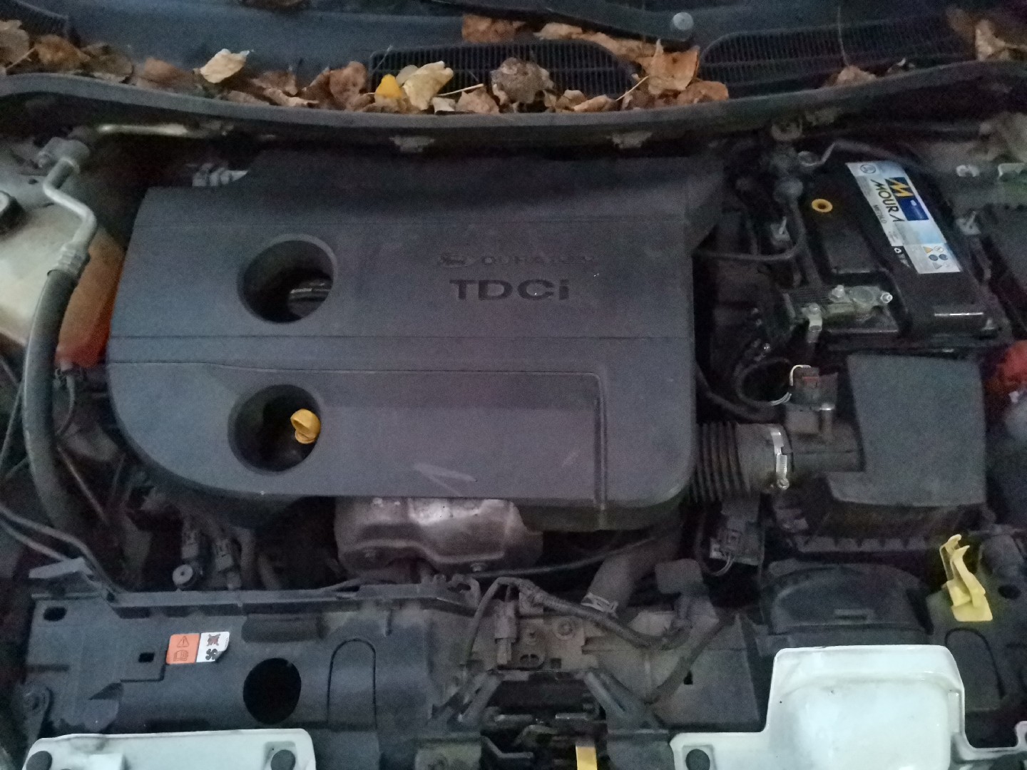 Motor Diesel FORD FIESTA VI Van | 08 - 