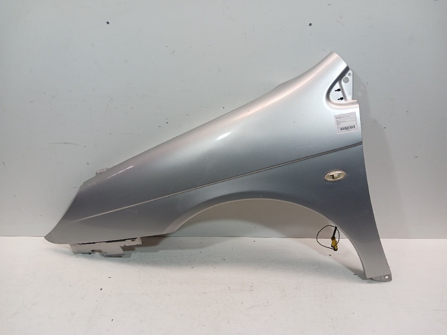 Guarda Lamas Frt Esq CITROEN C5 I (DC_) | 01 - 05