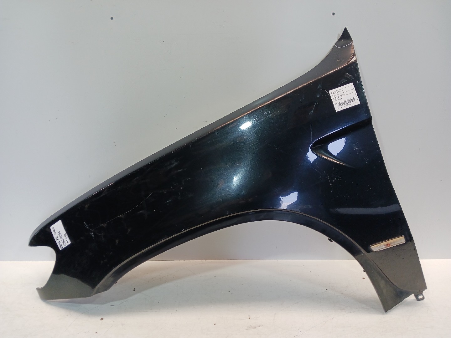 Guarda Lamas Frt Esq BMW X5 (E53) | 00 - 06