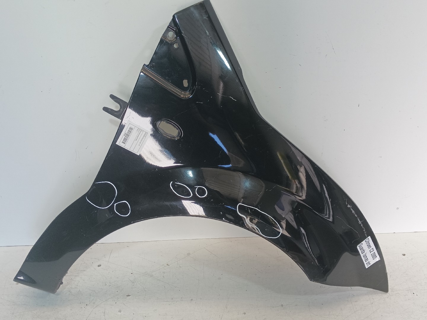 Guarda Lamas Frt Dto CITROEN C2 (JM_) | 03 - 17