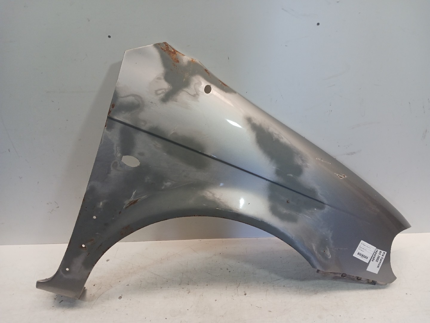 Guarda Lamas Frt Dto KIA CARNIVAL II (GQ) | 99 - 07