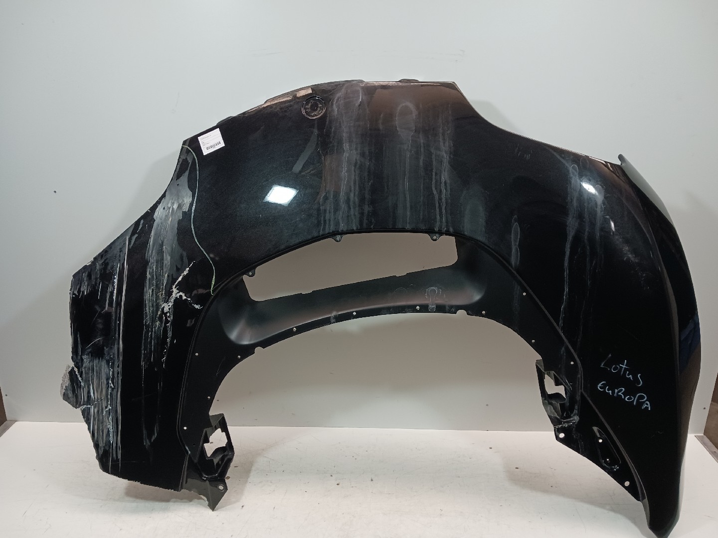Capo LOTUS EUROPA S | 06 - 
