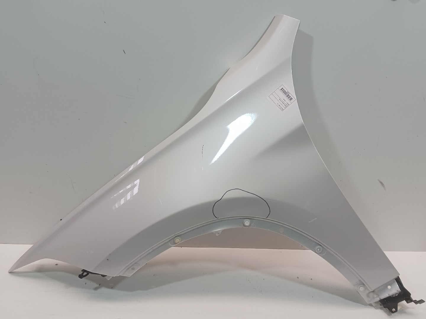 Guarda Lamas Frt Esq BMW X1 (F48) | 14 - 