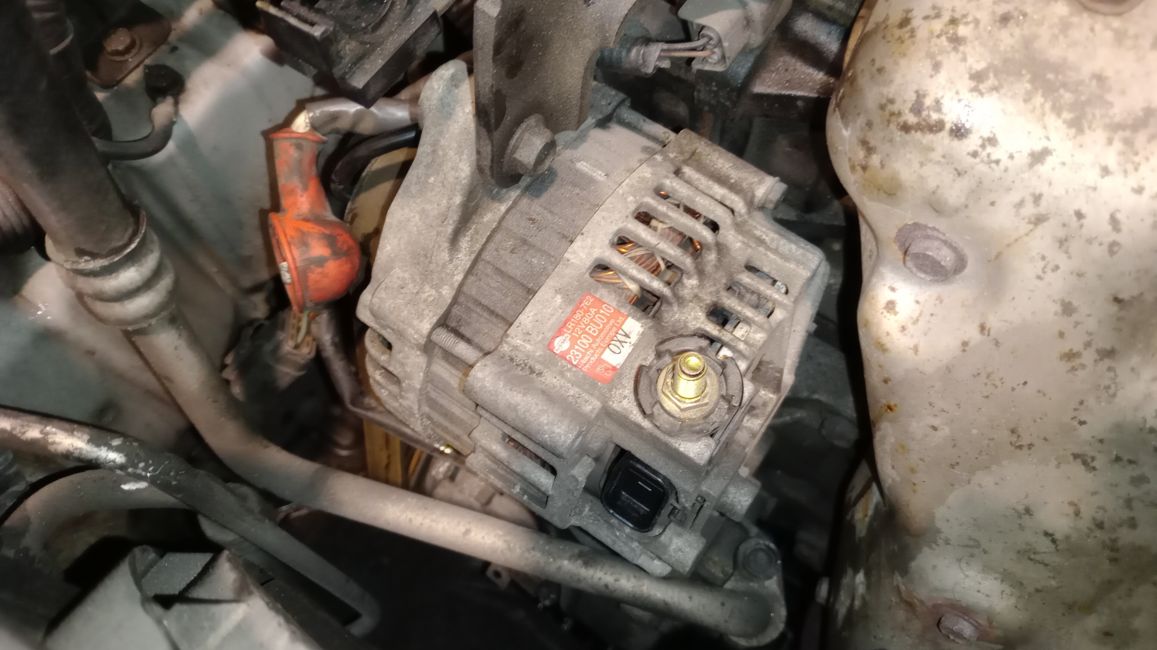 Alternador NISSAN ALMERA II Hatchback (N16) | 00 - 