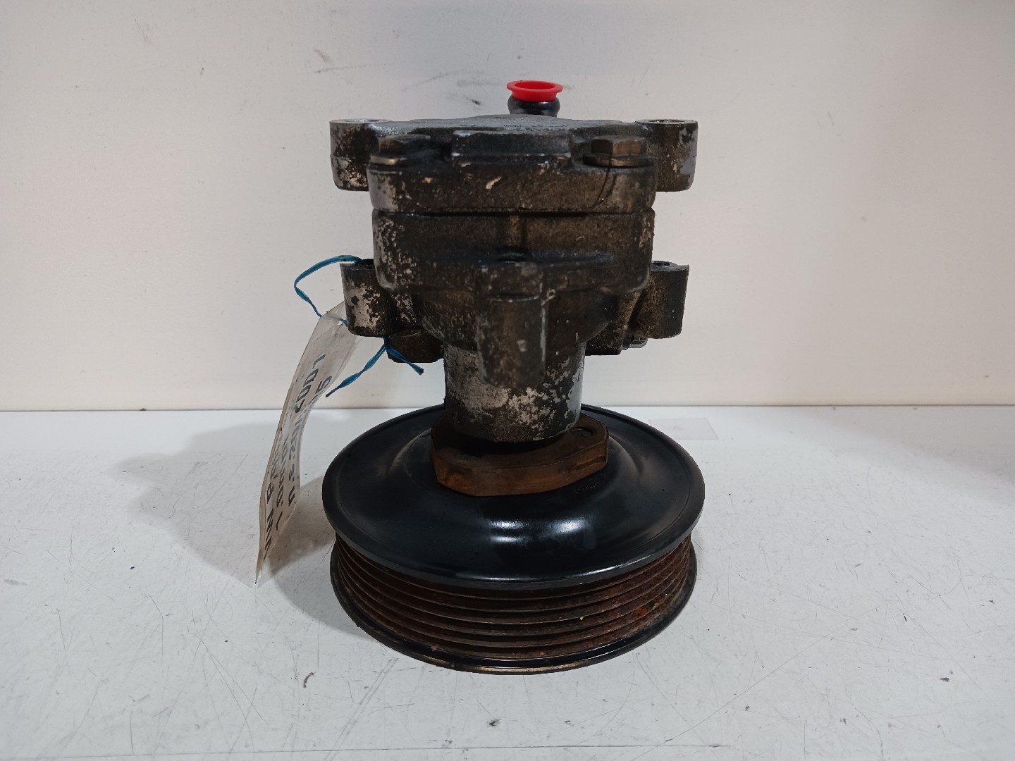 Bomba Direccion Asistida VOLKSWAGEN POLO (6N2) | 99 - 01