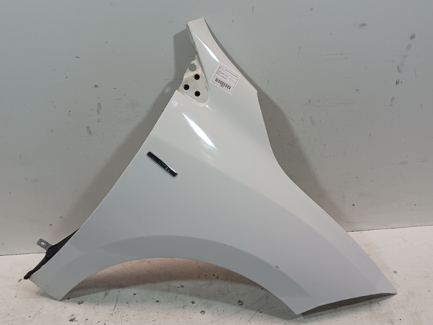 Guarda Lamas Frt Dto RENAULT MEGANE III Hatchback Van (BZ_) | 08 - 15