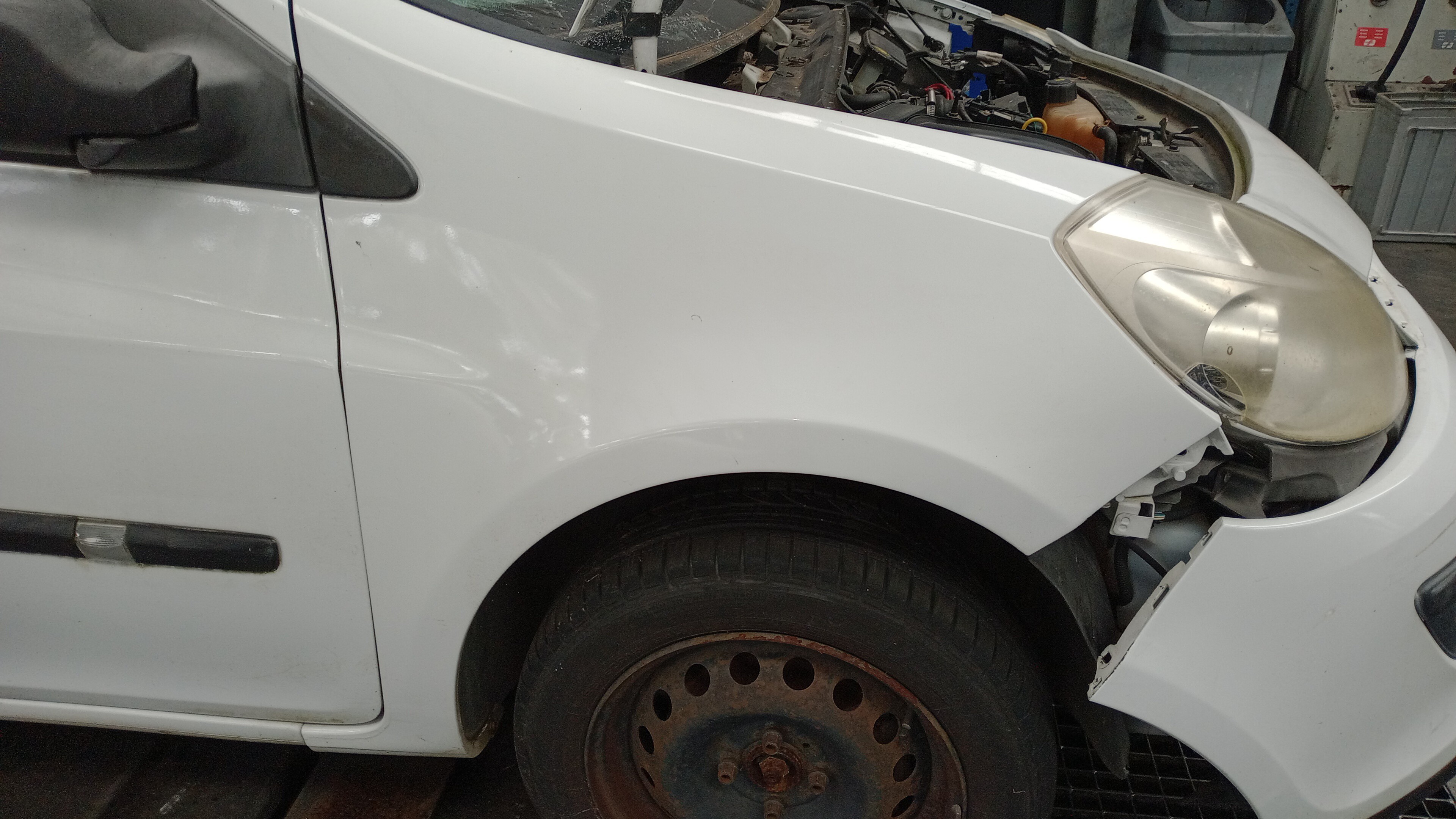 Guarda Lamas Frt Dto RENAULT CLIO III Caixa (SB_, SR_) | 05 - 