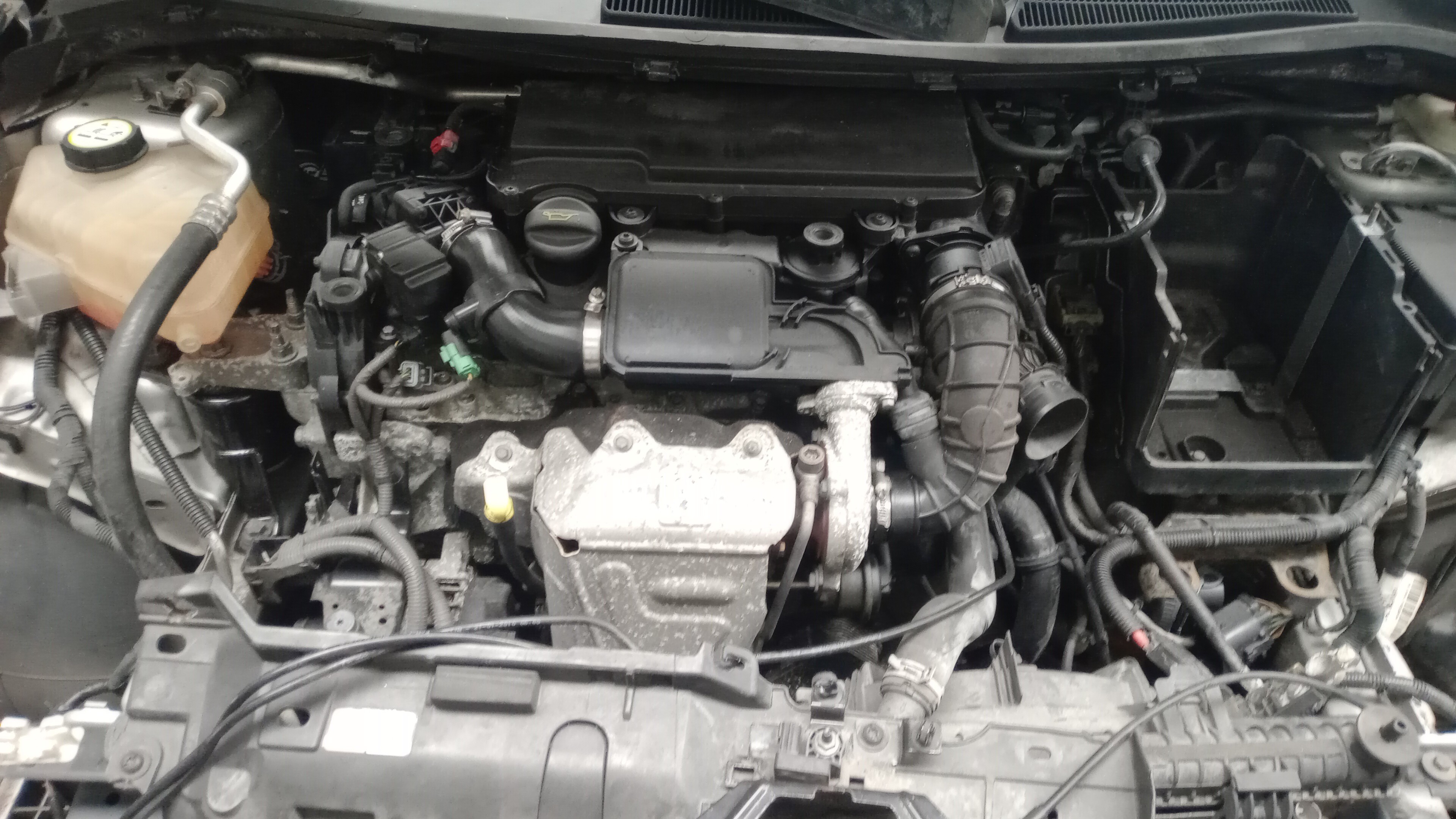 Motor FORD FIESTA VI (CB1, CCN) | 08 - 