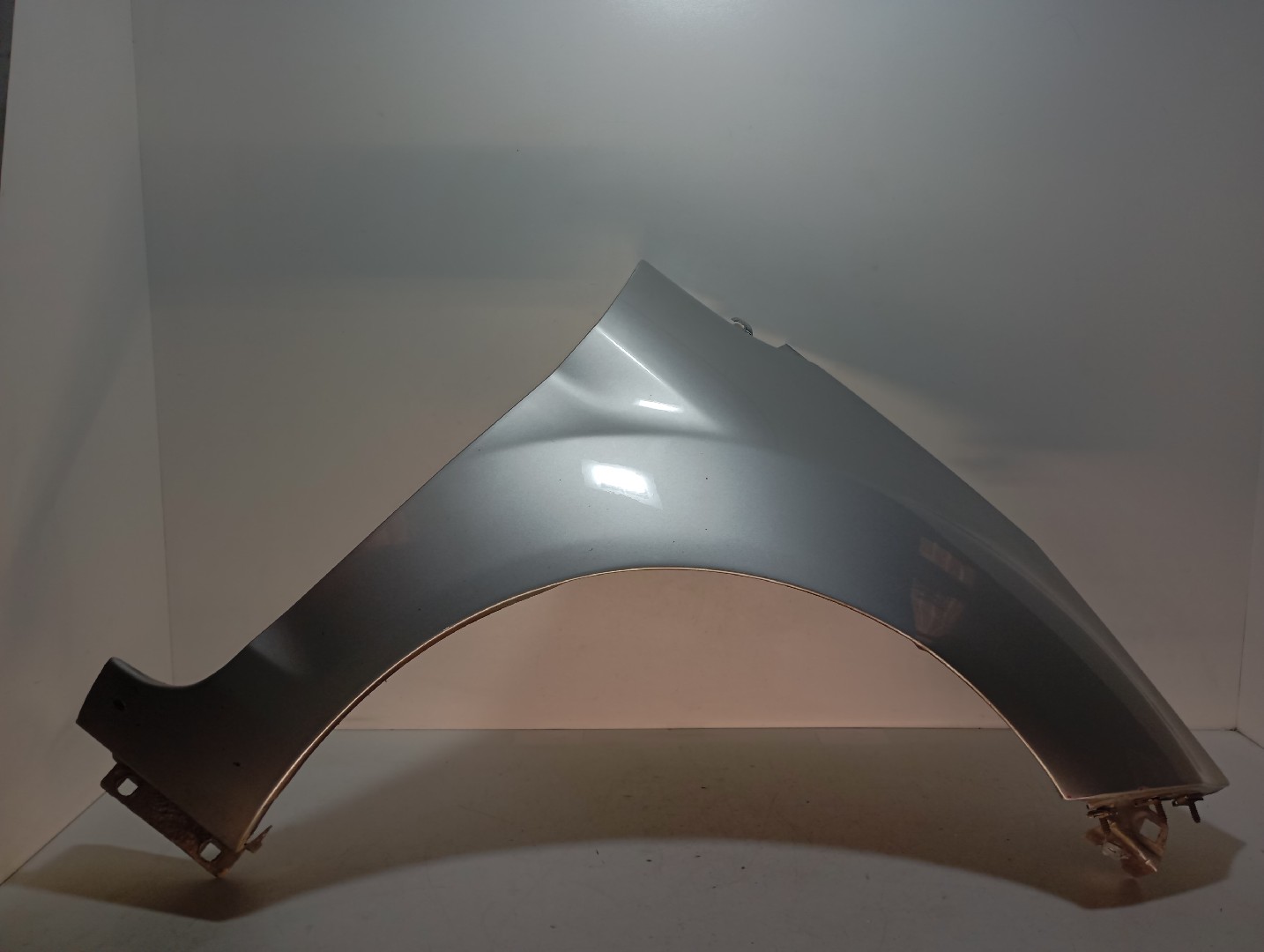 Guarda Lamas Frt Dto FORD FIESTA VI (CB1, CCN) | 08 - 